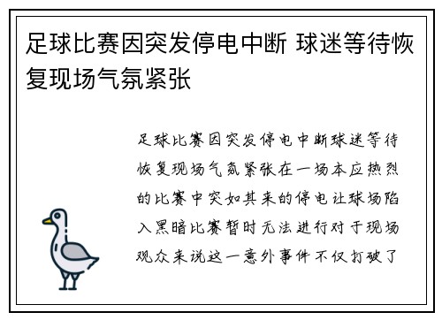 足球比赛因突发停电中断 球迷等待恢复现场气氛紧张