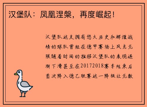 汉堡队：凤凰涅槃，再度崛起！