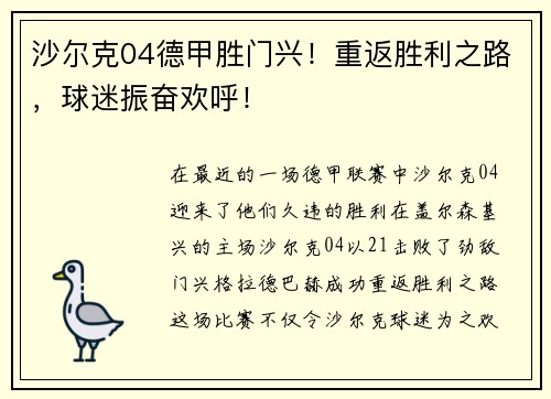 沙尔克04德甲胜门兴！重返胜利之路，球迷振奋欢呼！