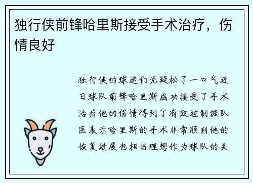 独行侠前锋哈里斯接受手术治疗，伤情良好