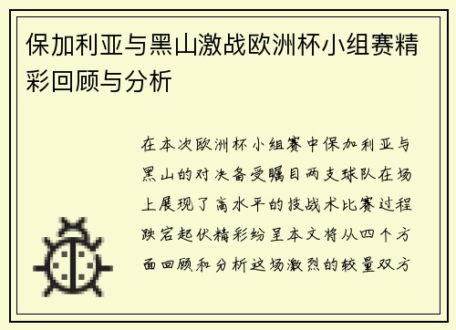 保加利亚与黑山激战欧洲杯小组赛精彩回顾与分析