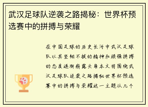武汉足球队逆袭之路揭秘：世界杯预选赛中的拼搏与荣耀
