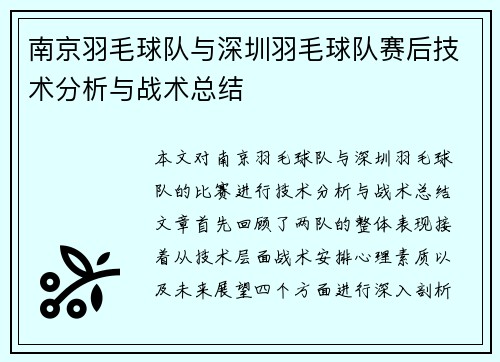南京羽毛球队与深圳羽毛球队赛后技术分析与战术总结