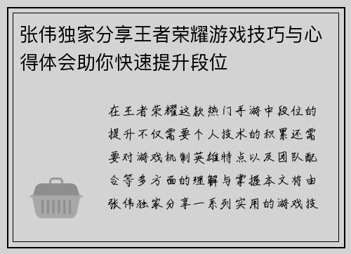 张伟独家分享王者荣耀游戏技巧与心得体会助你快速提升段位