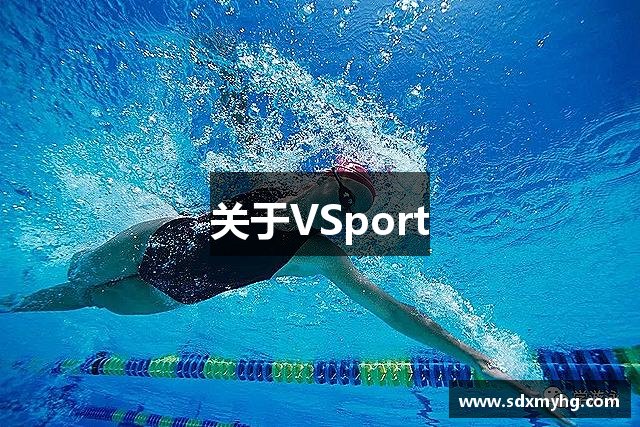关于VSport